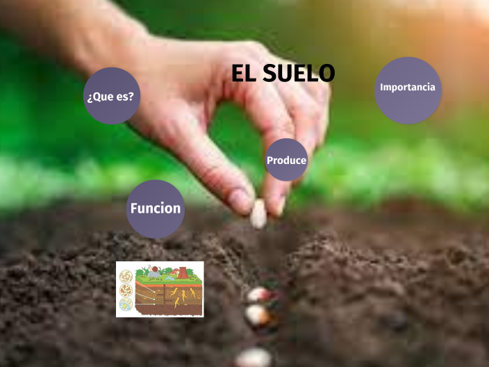 EL SUELO by JAIME RAFAEL WBERTH QUINTANA (:-) on Prezi