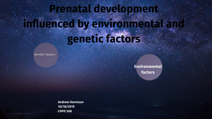 Prenatal development influenced by environmental and genetic factors by ...