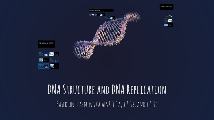 DNA Structure and DNA Replication by ivana mercs on Prezi