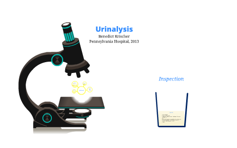 urine microscopic examination prezi