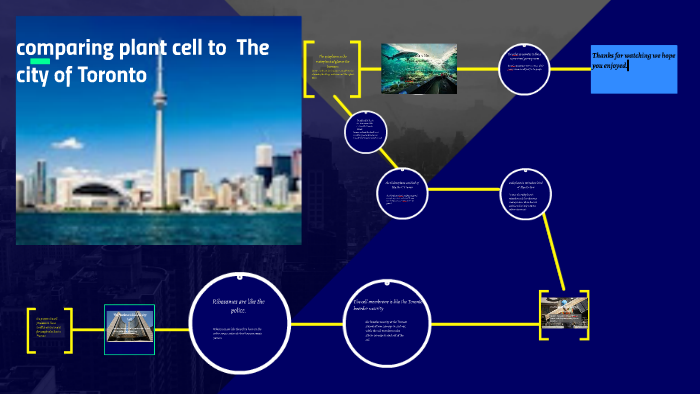comparing plant cell to The city of toronto by Logan Young on Prezi