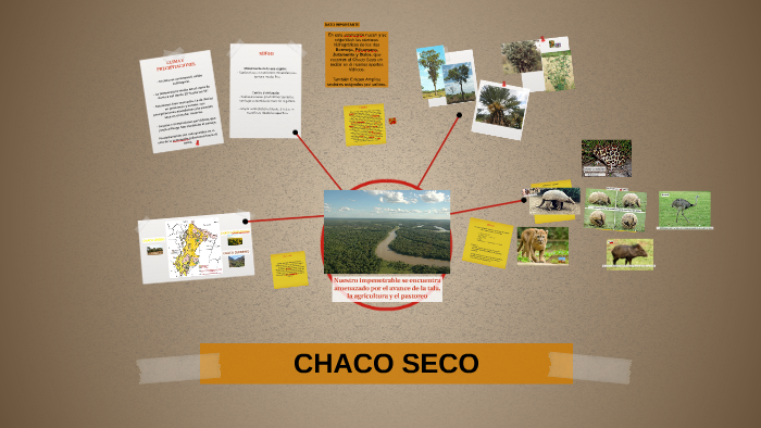 CHACO SECO by belen nievas on Prezi