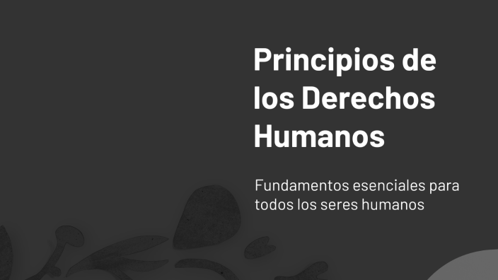 Principios de los Derechos Humanos by ANTONIO PEREZ TREJO on Prezi