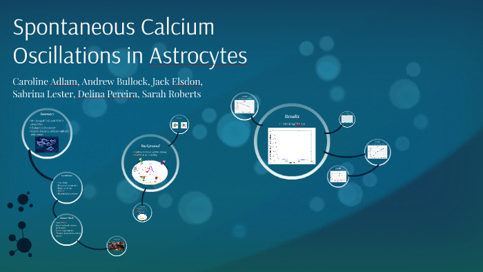 Spontaneous Calcium Oscillations in Astrocytes by Jack Elsdon on Prezi