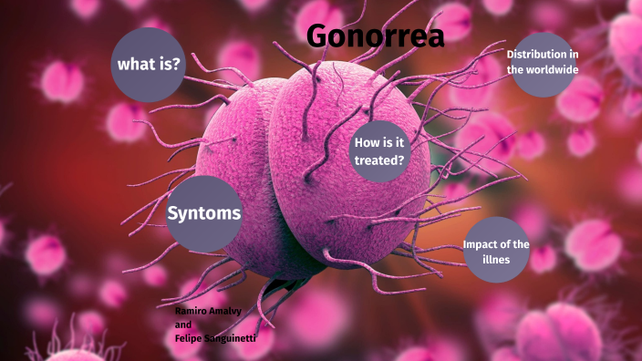 gonorrea by Pincha 2007 on Prezi