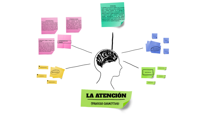 TIPOS DE ATENCIÓN (PROCESO COGNITIVO) by Aideliz Garcia on Prezi