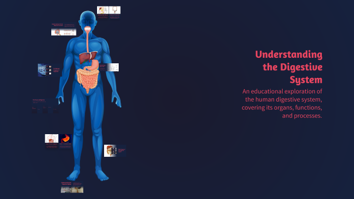 Understanding the Digestive System by Surayya Alfin on Prezi