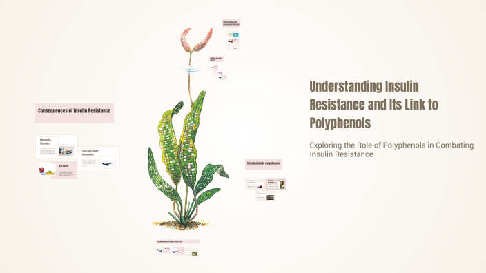 Understanding Insulin Resistance and Its Link to Polyphenols by Shahad ...
