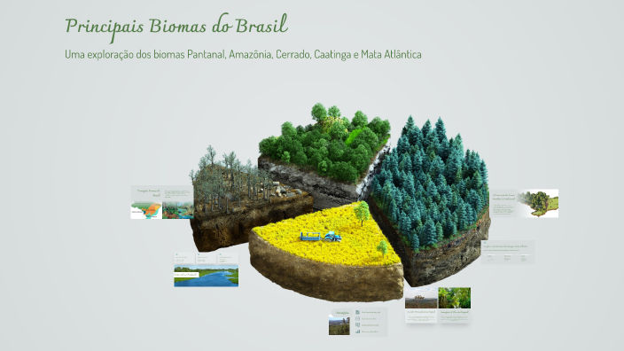 Principais Biomas do Brasil by Vitor Gallo on Prezi