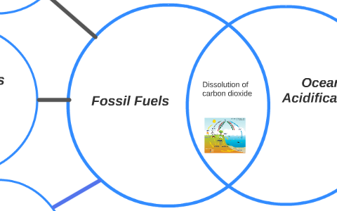 Fossil Fuels by Kelsey Anderson on Prezi