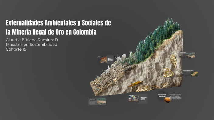 Externalidades Ambientales y Sociales de la Minería Ilegal de Oro en ...
