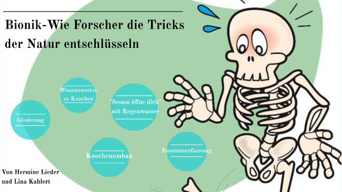 Handwurzelknochen Ratsel AdzMana