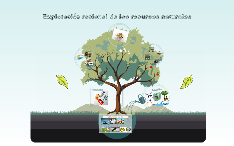 Explotación racional de los recursos naturales by jessica raffo egas