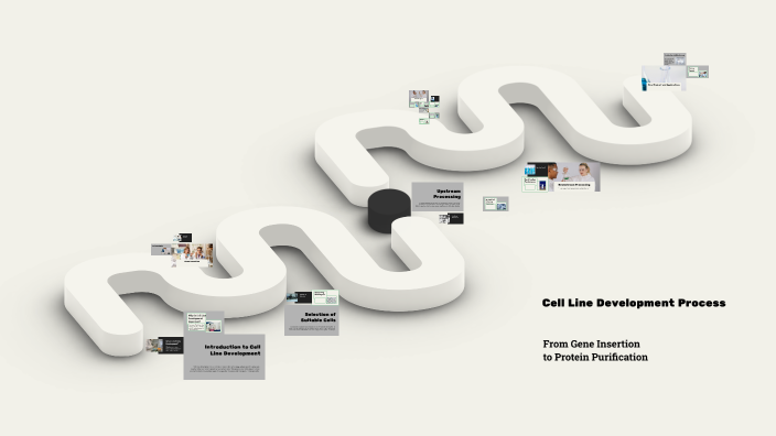 Cell Line Development Process by youssef abdallah on Prezi