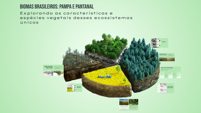 Biomas Brasileiros: Pampa e Pantanal by Guilherme Ricardo on Prezi