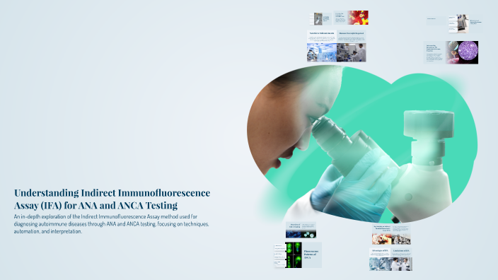 Understanding Indirect Immunofluorescence Assay (IFA) for ANA and ANCA ...