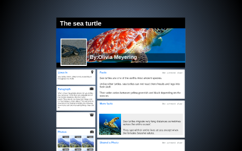 The sea turtle by Olivia M on Prezi