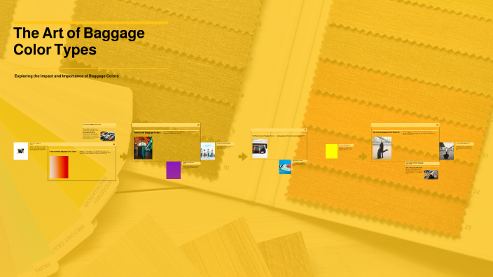 Understanding Baggage Color Types by Chontida J. on Prezi