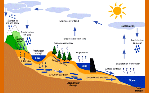 The Drainage Basin Hydrological Cycle: The Water Balance By Nishad Rai