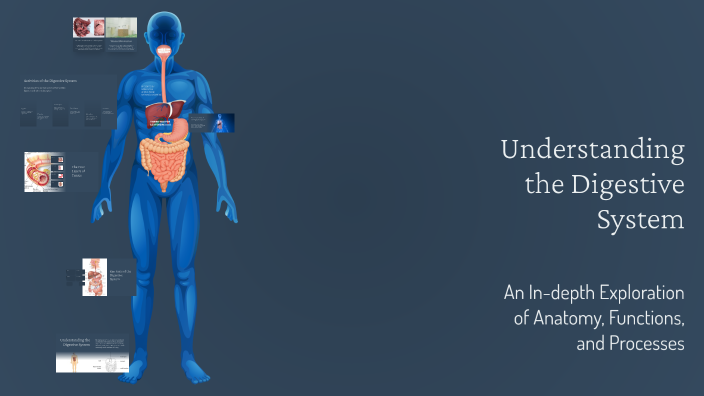 Understanding the Digestive System by stella sardeniola on Prezi