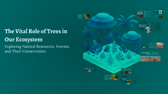 The Vital Role of Trees in Our Ecosystem by Ashaa Ashaa on Prezi