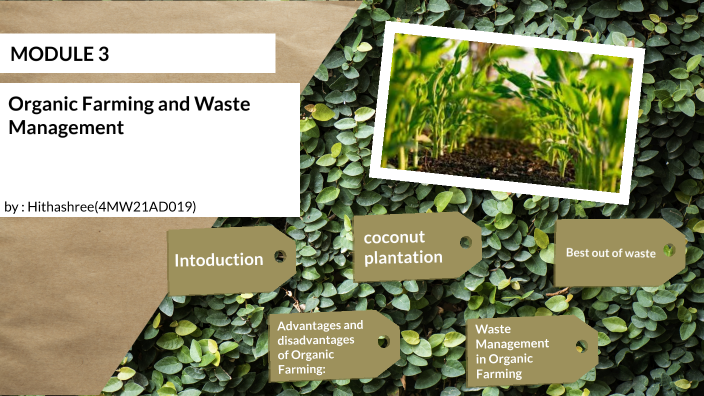 organic farming and waste management essay