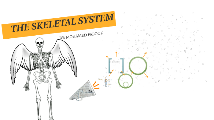 THE SKELETAL SYSTEM by Mohamed Farook on Prezi