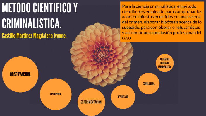 METODO CIENTIFICO Y CRIMINALISTICA by Ivonne Castillo on Prezi