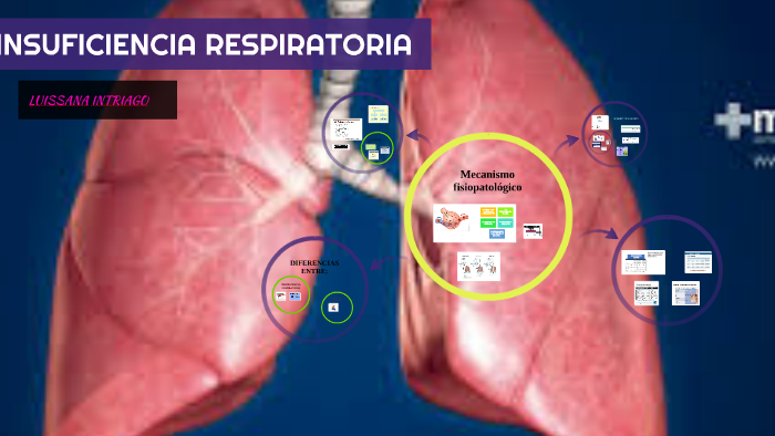 INSUFICIENCIA RESPIRATORIA by Luissana Intriago Lino on Prezi