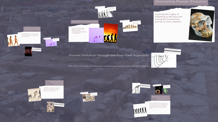Exploring Human Evolution by Ruth Maher on Prezi