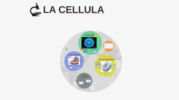 CELLULA by Nicolò Morganti on Prezi