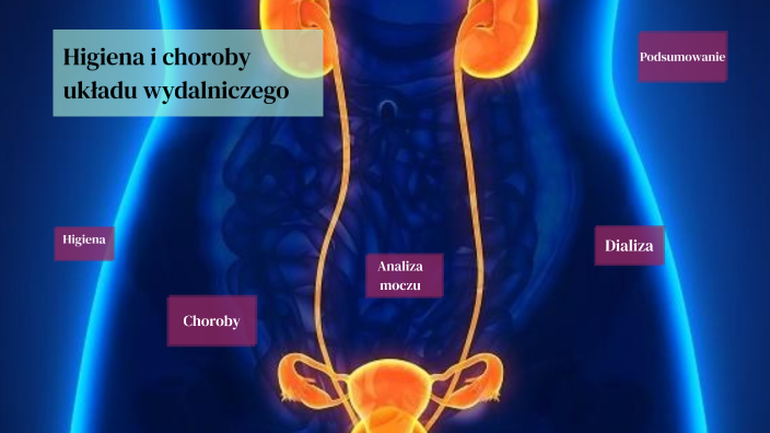 Choroby i higiena układu wydalniczego- biologia by Natalia Szymla on Prezi