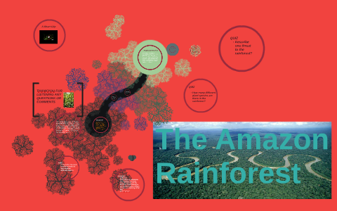 The Amazon Rainforest by Carrie- Emma McCrimmon on Prezi
