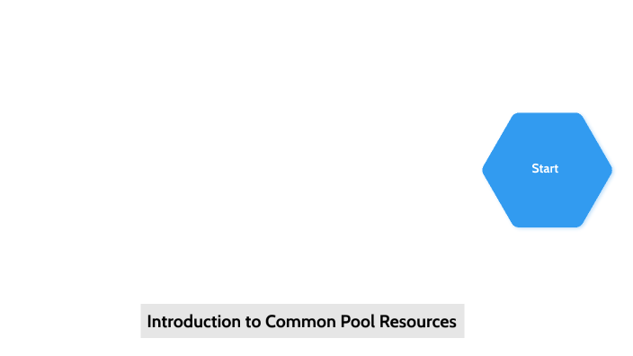 essay on common pool resources