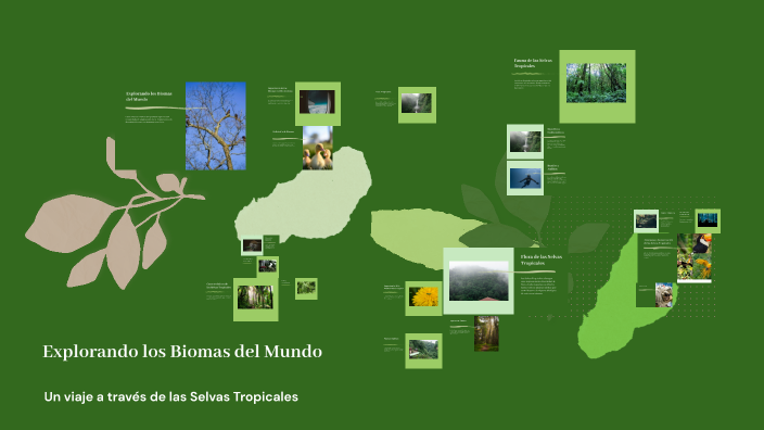 Explorando los Biomas del Mundo by Luis T. Pérez Santana. on Prezi