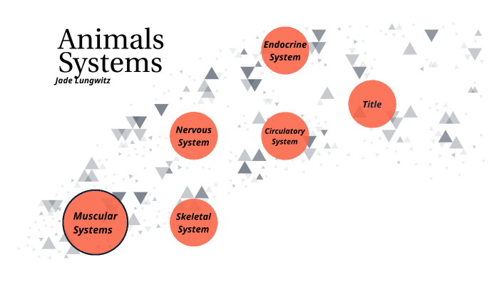 Animal Systems by Jade Lungwitz on Prezi