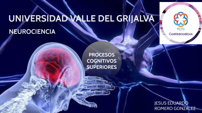 Procesos Cognitivos Superiores By Shareny Salazar On Prezi 1184