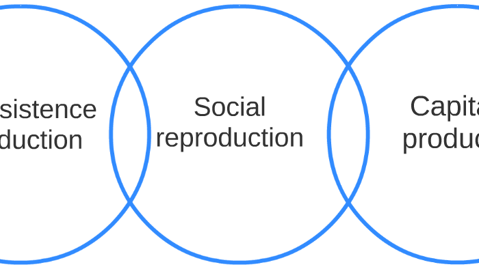 social-reproduction-by-rebecca-hall