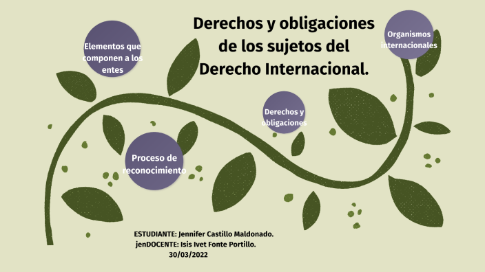 Derechos Y Obligaciones De Los Sujetos Del Derecho Internacional. By ...