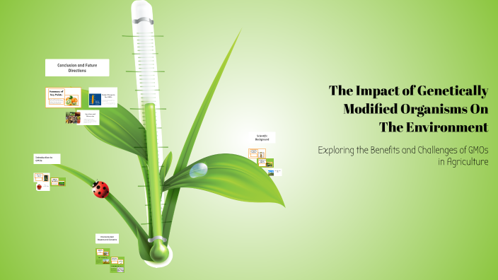 The Impact of Genetically Modified Organisms On The Environment by ...