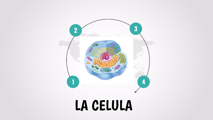 LA CELULA by luz Enriquez Lopez on Prezi