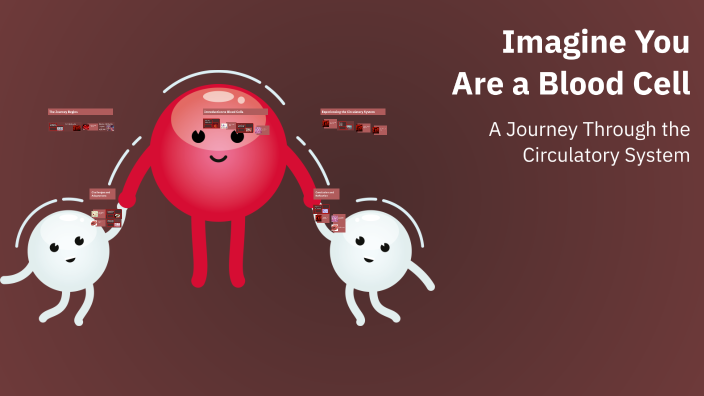 Imagine You Are a Blood Cell by Raina Rajith on Prezi