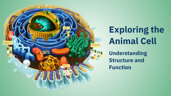 Exploring the Animal Cell by valeri Javabaylosis on Prezi