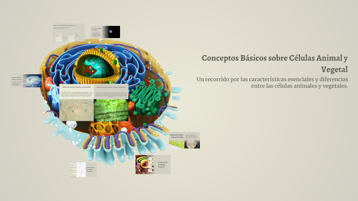 Conceptos Básicos sobre Células Animal y Vegetal by Mateo on Prezi