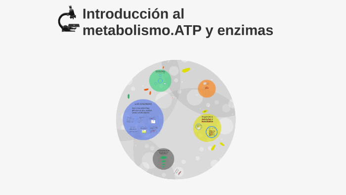 Introducción al metabolismo.ATP y enzimas by Blancasti . on Prezi