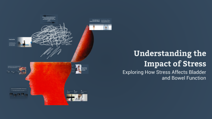Understanding the Impact of Stress by Vicky Wadsworth on Prezi