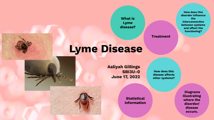 Lyme Disease by AG - 11GM 994476 Fletchers Meadow SS on Prezi