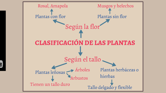 ClasificaciÓn De Las Plantas By Rafa Navarro On Prezi