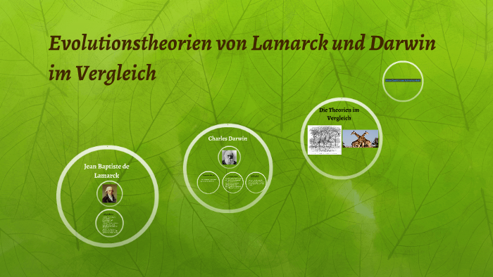 Lamarck Und Darwin Vergleich Tabelle Evolutionstheorien von Lamarck und Darwin im Vergleich by Anna Celina