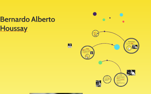 Bernardo Alberto Houssay By Nasr Muhammad On Prezi